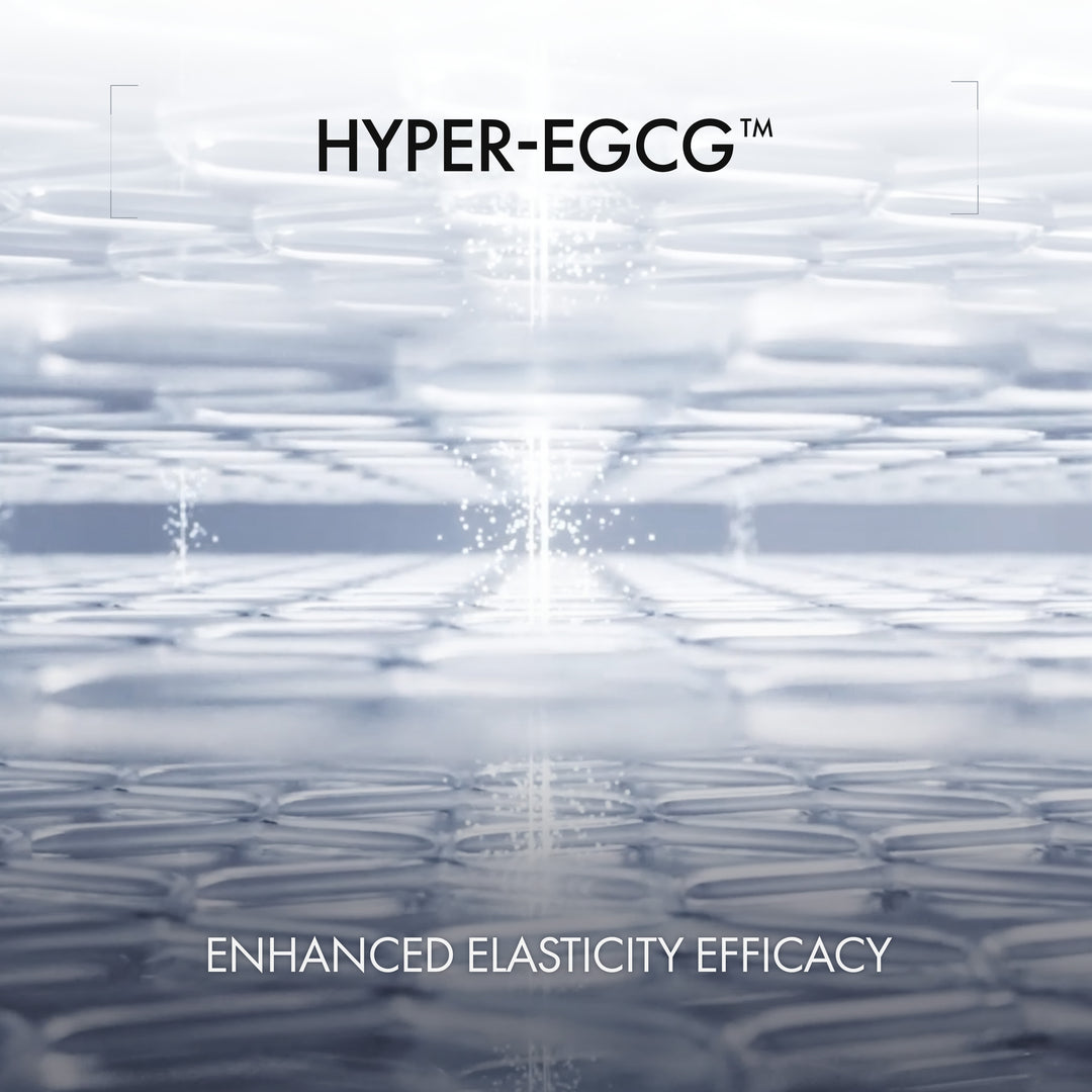 HYPER-EGCG ingredient focus